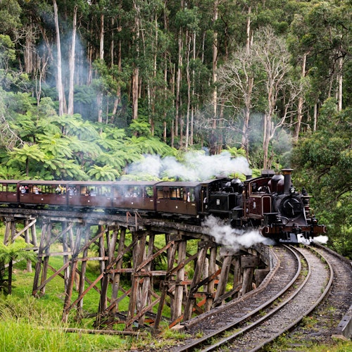 Il treno a vapore Puffing Billy che attraversa un ponte a travi