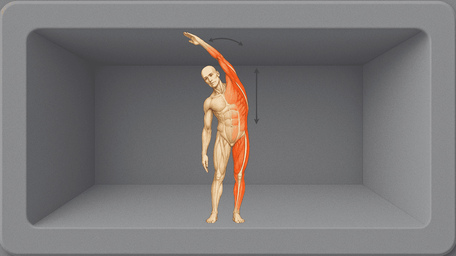 ARCII - OPEN Piktoram body®evolution