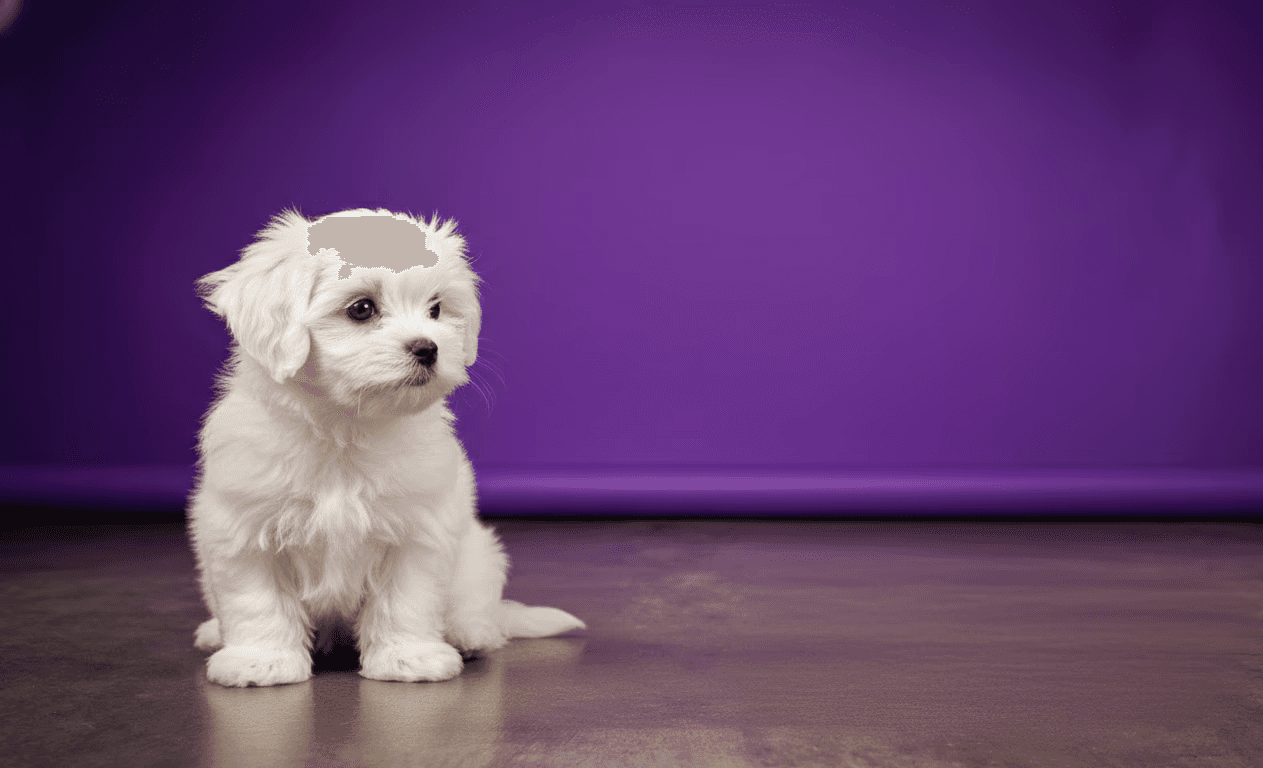 A kid practicing surfing