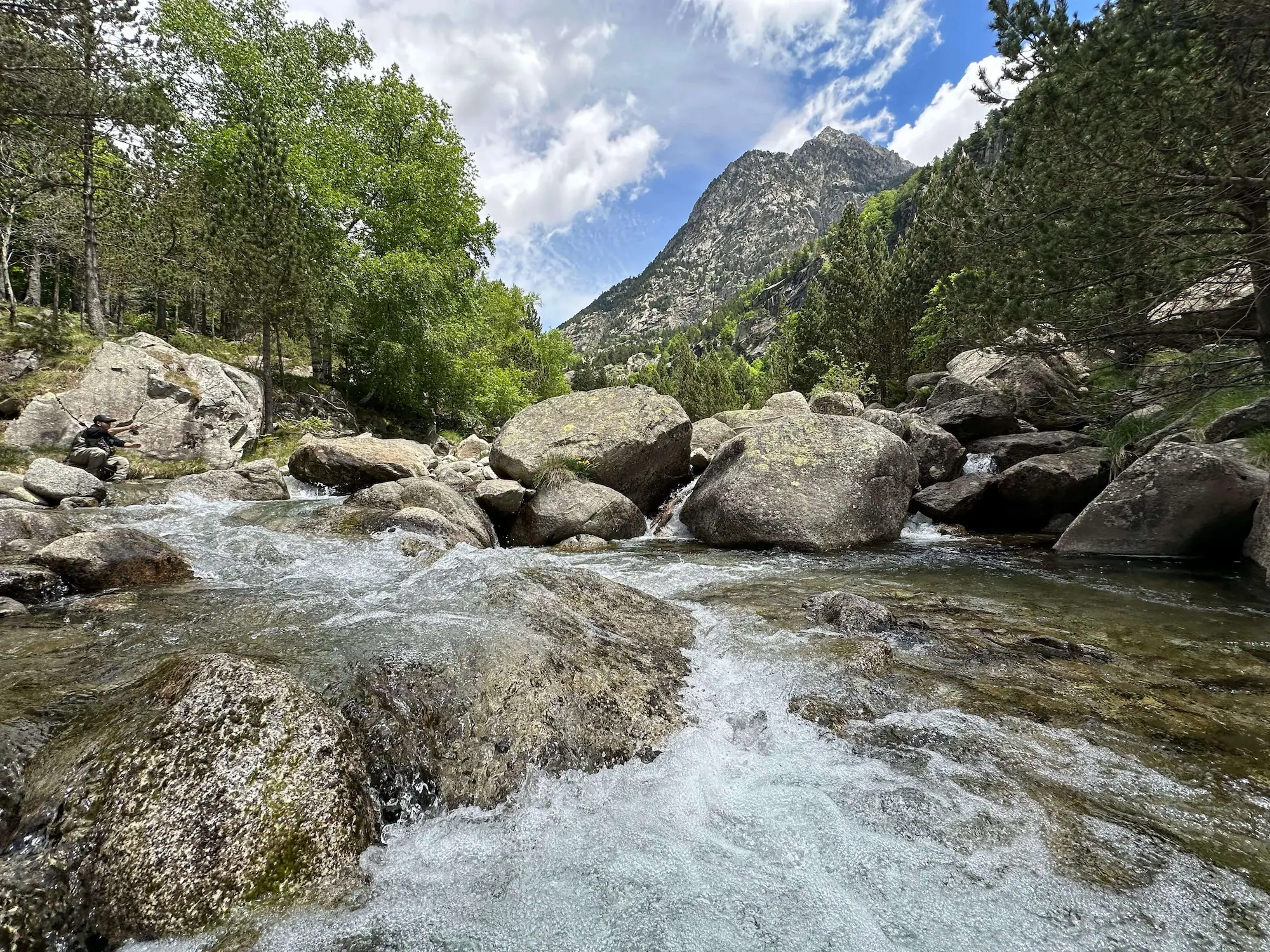 Fly fishing in the Spanish Pyrenees on a clear alpine stream near Barruera