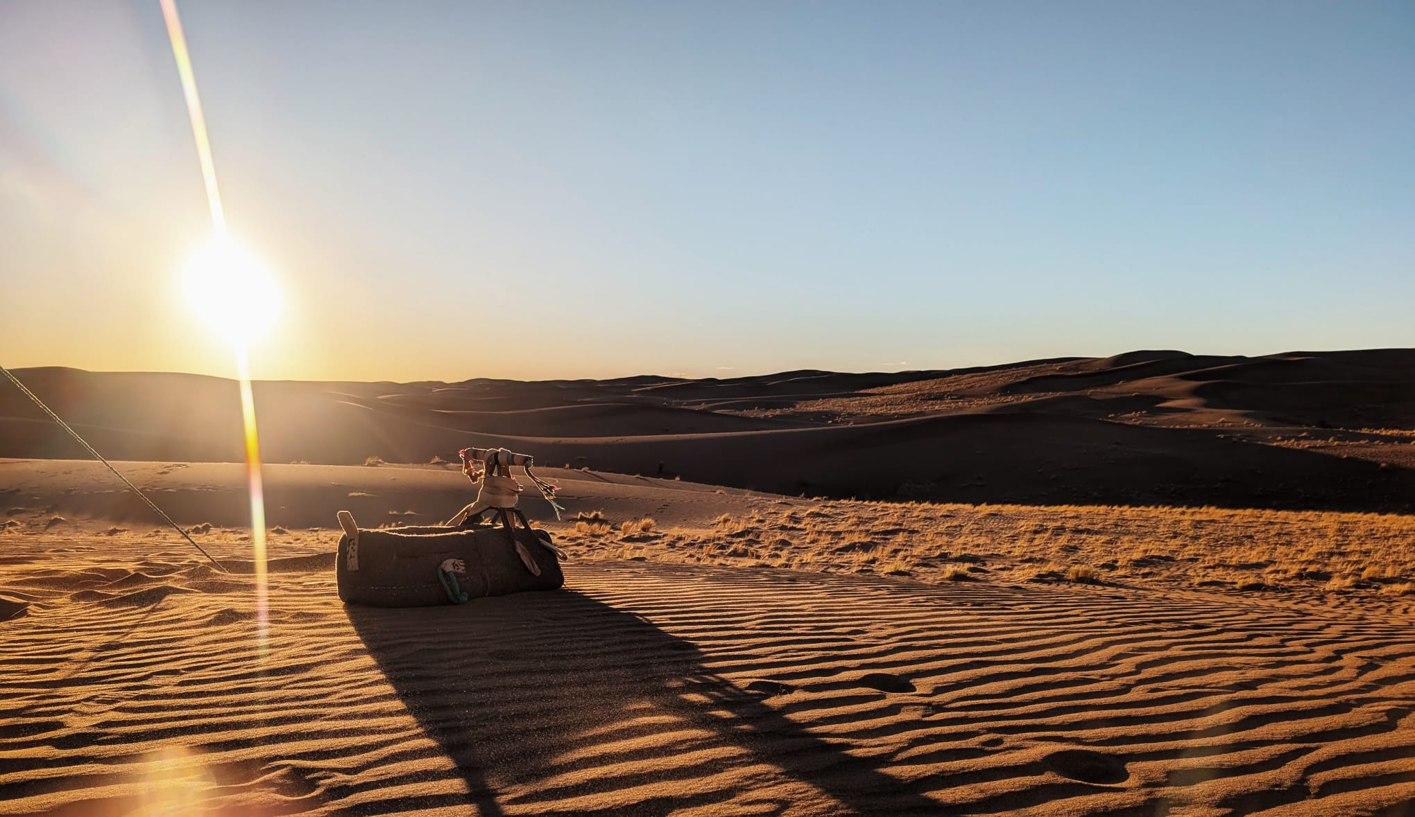 a woman holding a red flower