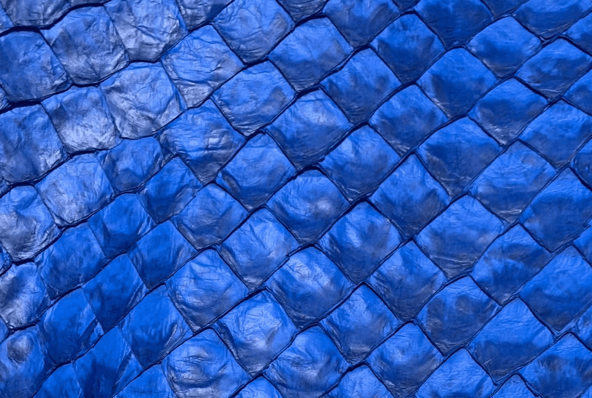image of blue pirarucu leather