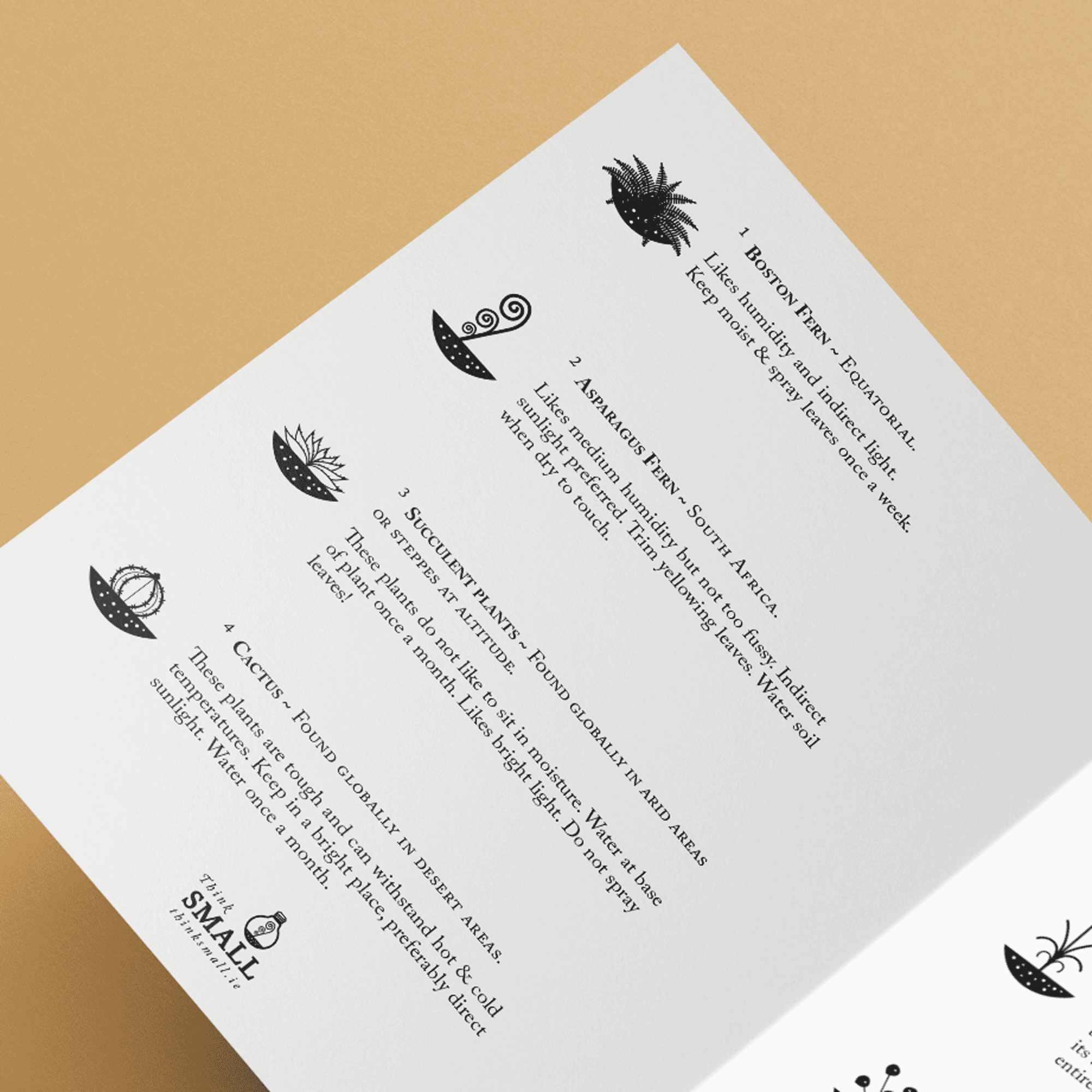 Minimal business card set – Irish business stationery design for Think Small.