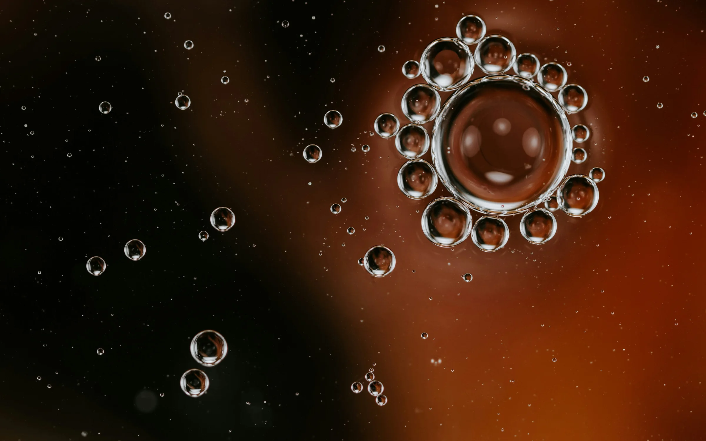 Aesthetic Clinics industry: digital products by Alpha Expansion