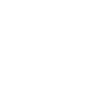 Media Servers & Playback