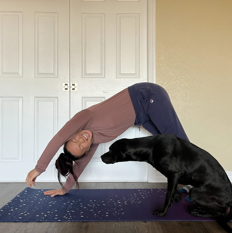 The author doing an exercise with their dog
