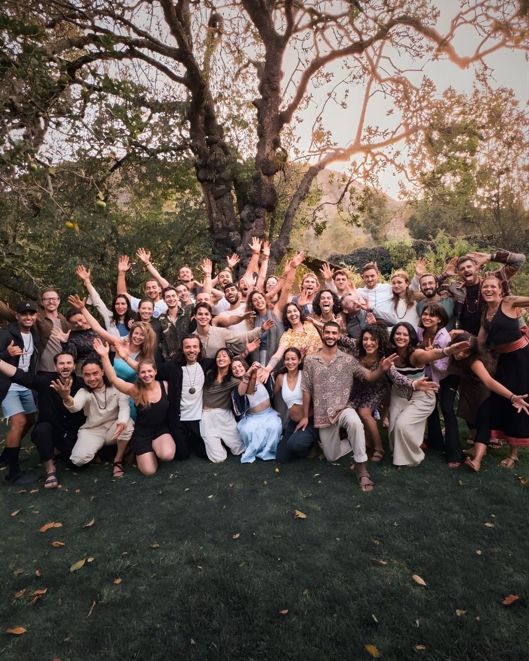 A group of yoga teacher students pose outdoors on a grassy lawn, under a large tree. They express happiness with wide smiles and raised hands, conveying celebration.