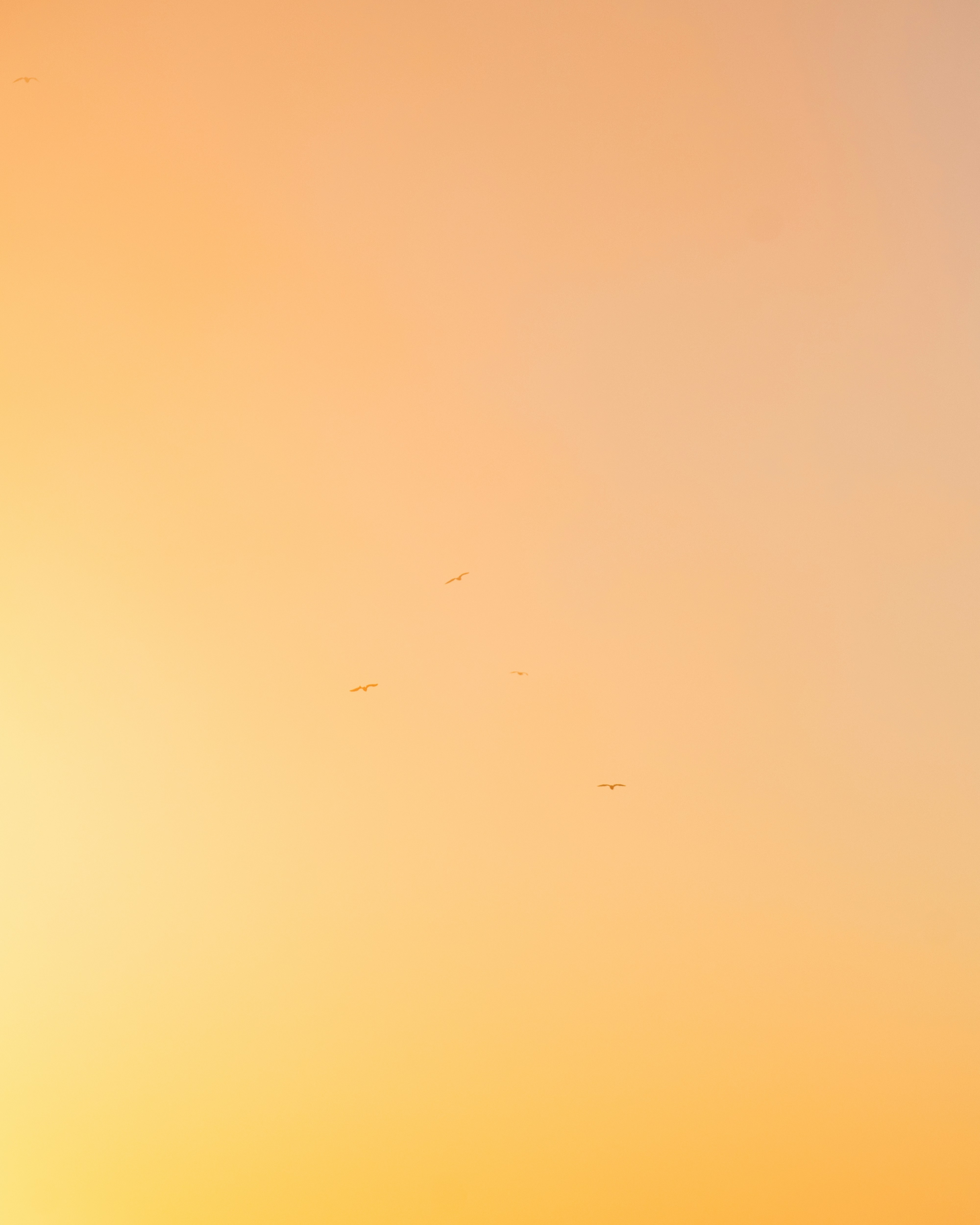 Ein sanfter Farbverlauf warmer Farben, der von hellem Orange zu blassem Gelb übergeht und an einen Sonnenauf- oder -untergang erinnert.