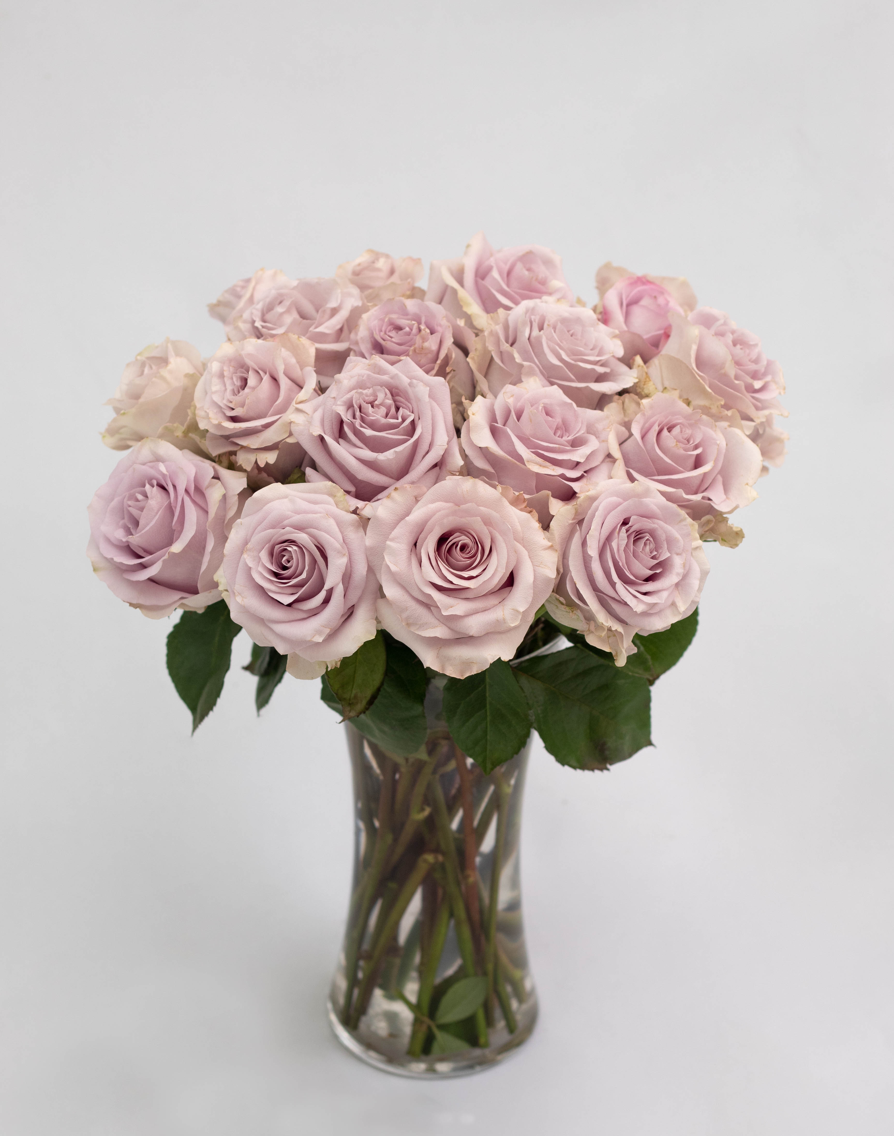 Image of Bright modern foyer