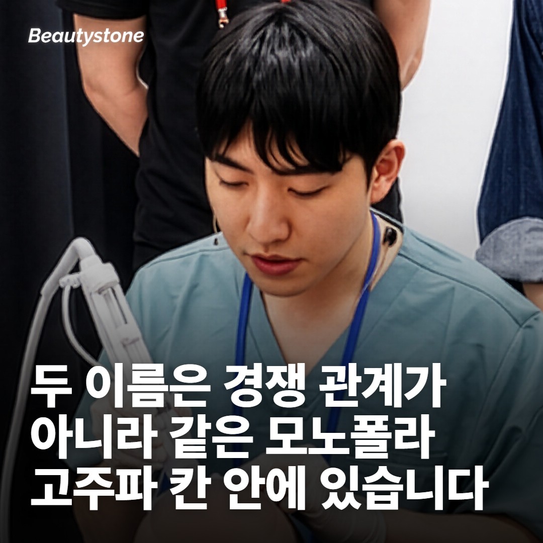 덴서티와 볼뉴머는 대립 구도가 아니라 같은 칸 안에 있습니다