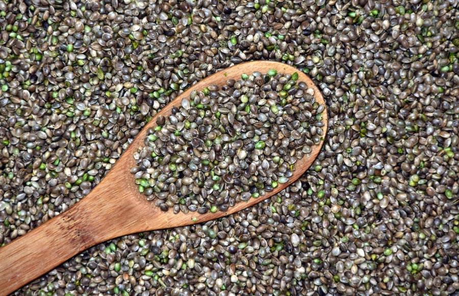 Semi di canapa, omega 3 e omega 6