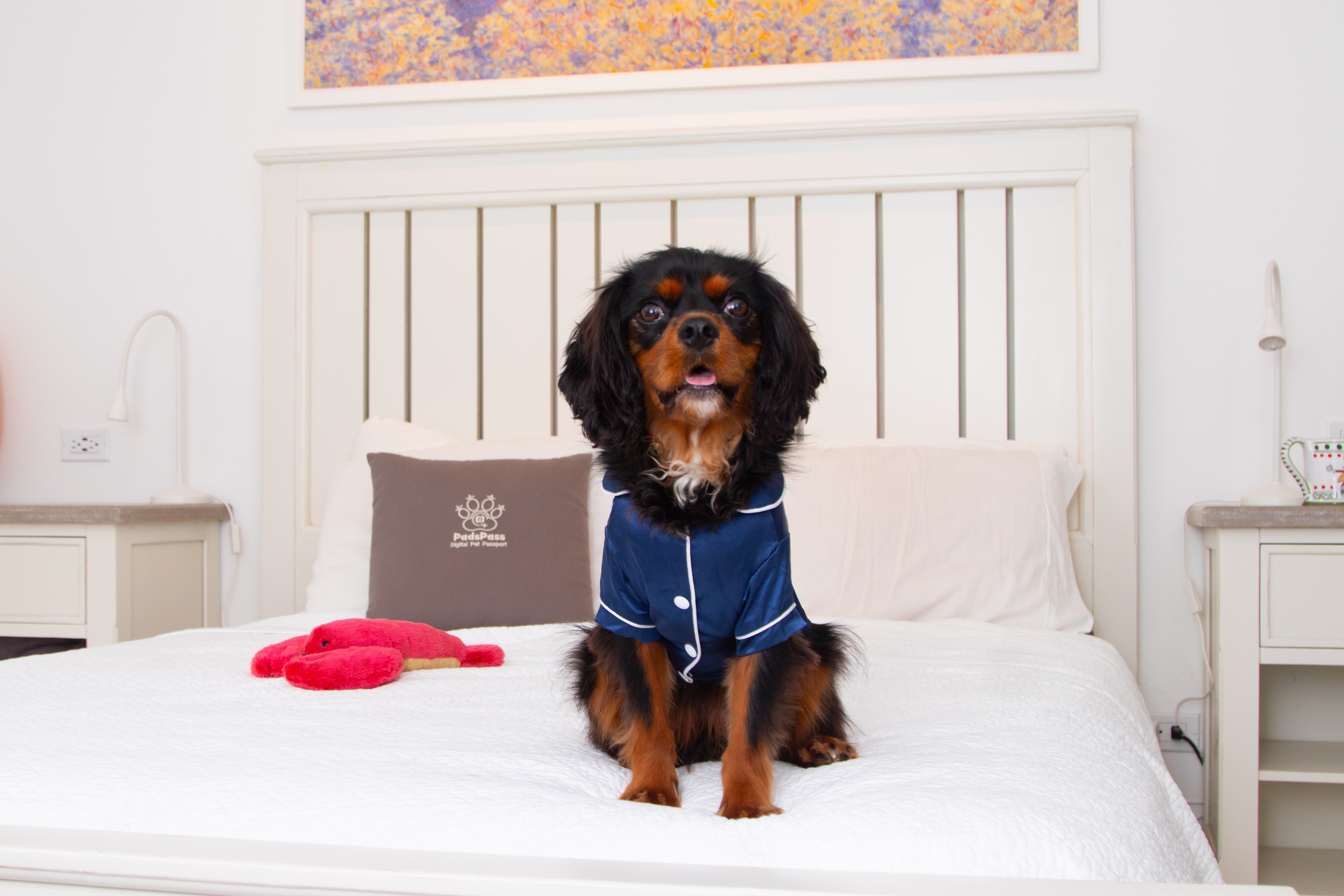 Our head of barketing here compares how humans can use both types of credit cards.