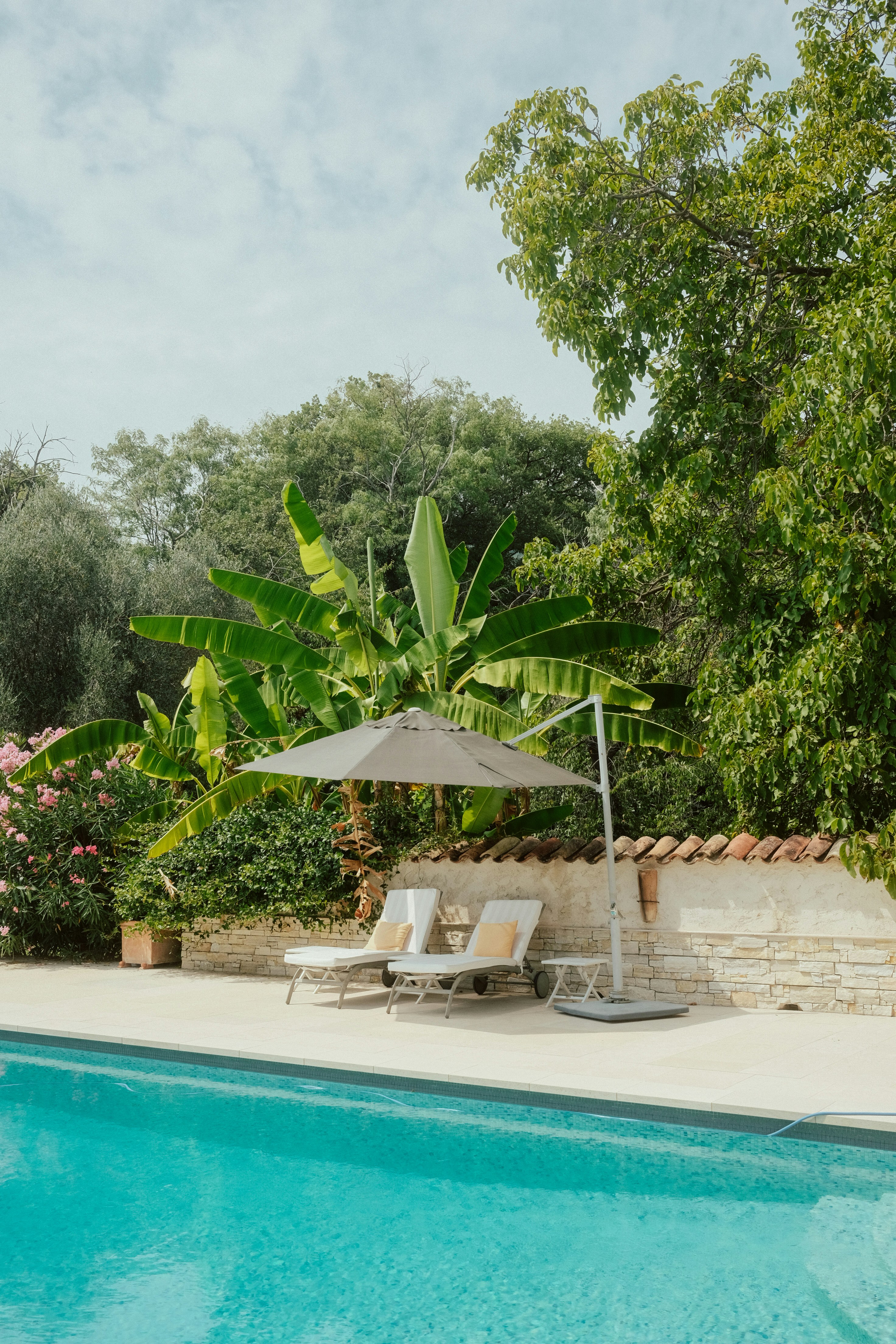 Lounge chairs by a swimming pool with lush green trees.
