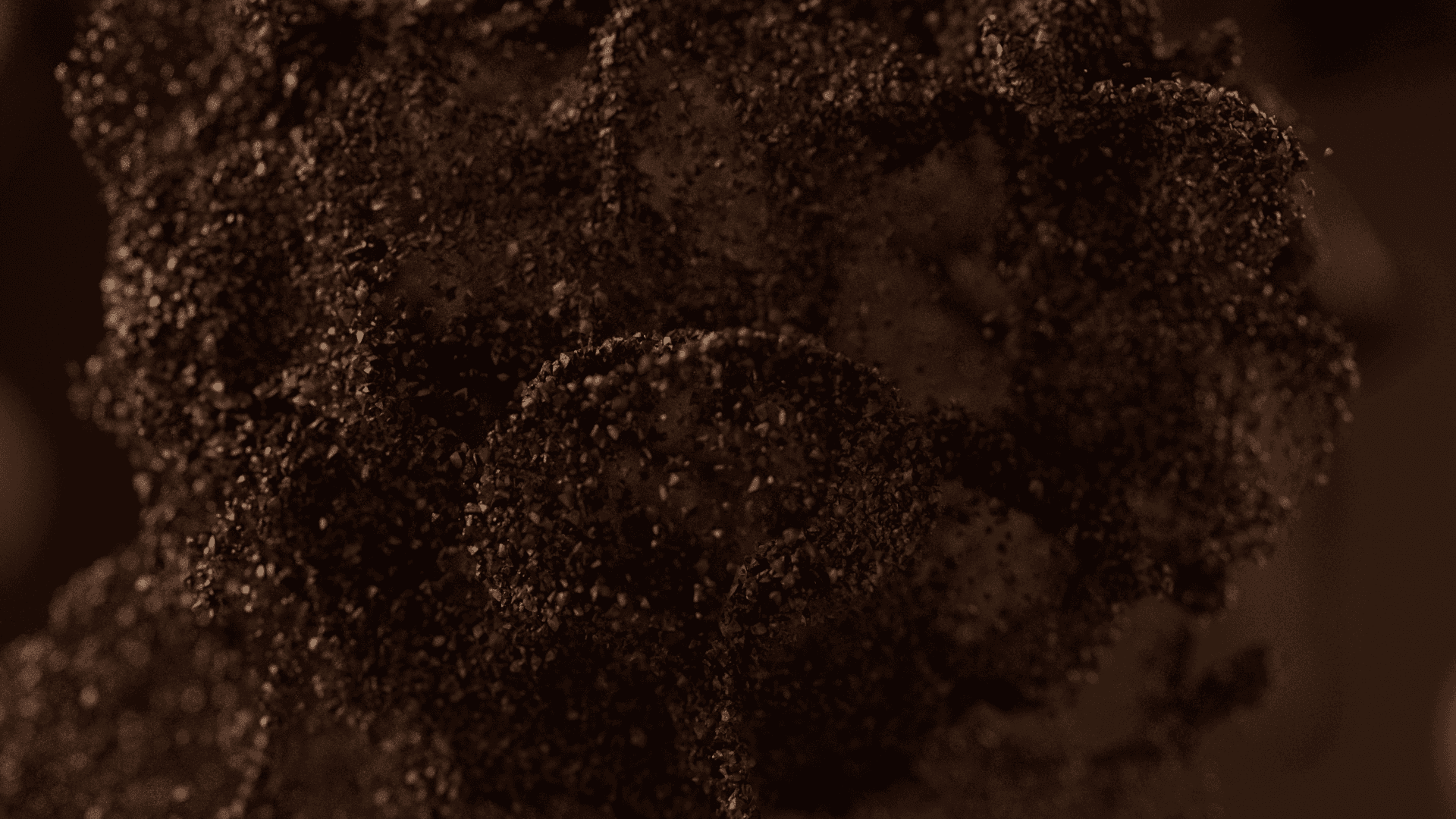 djarum super kretek cloves particles