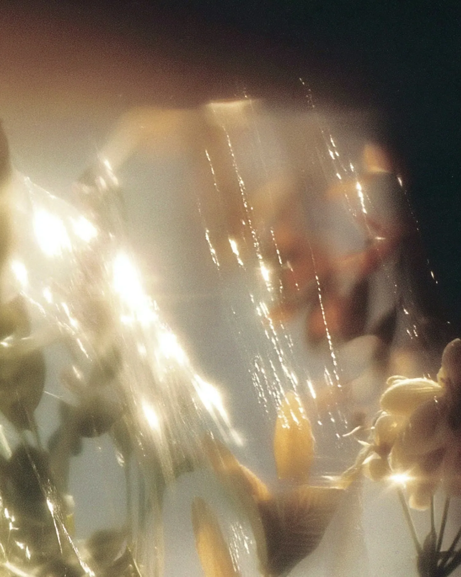 Ethereal Floral Glow