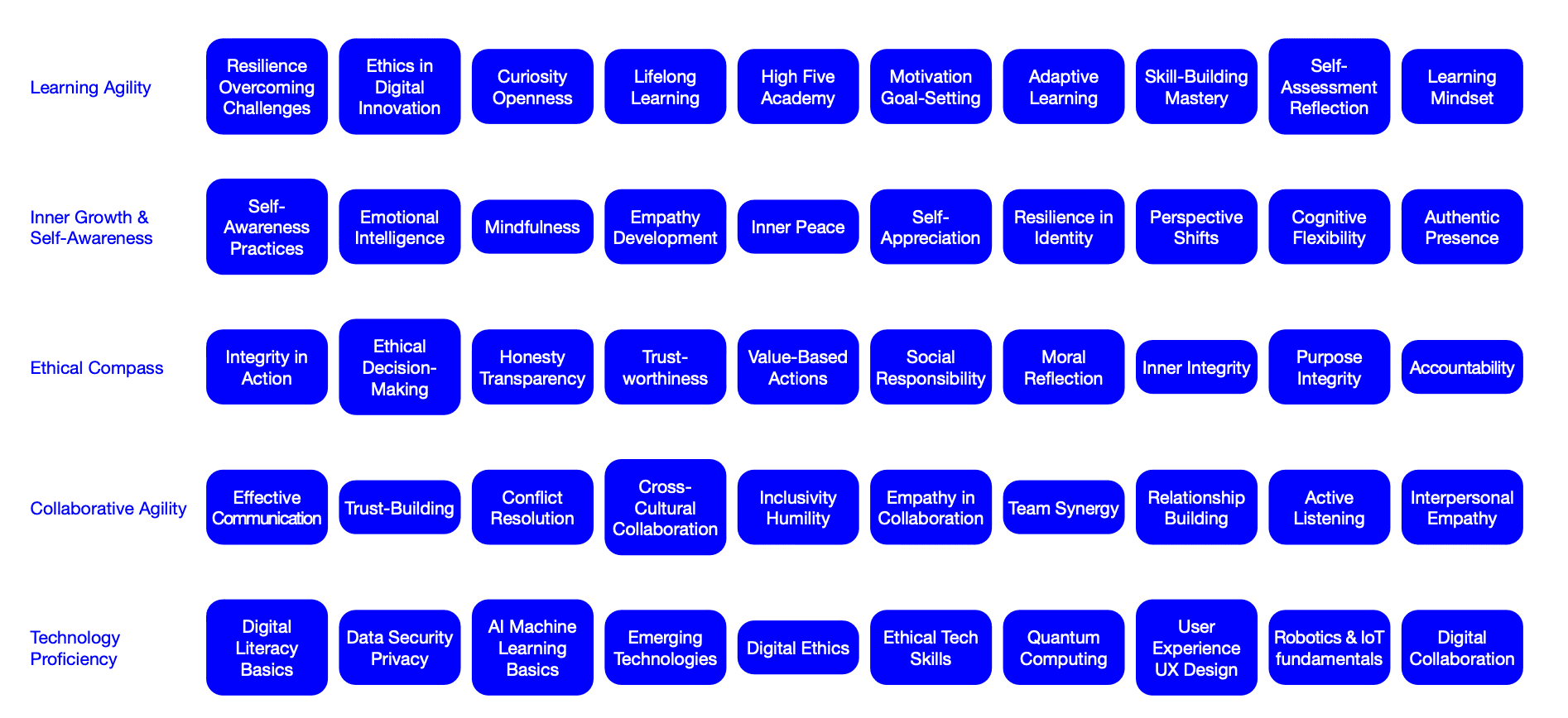 Future Skills Framework