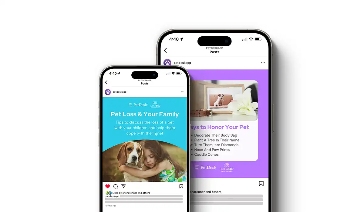 Pet Loss & Grief Social Posts