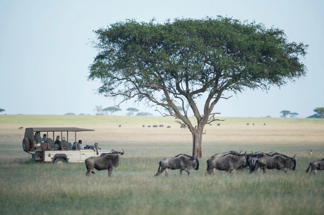 Great Migration