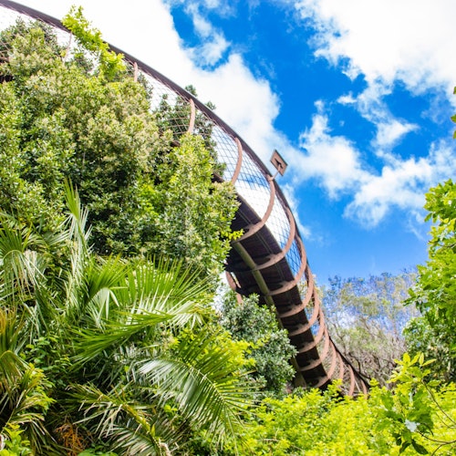 康斯坦蒂亞：開普敦全日品酒之旅 + 來回接送票