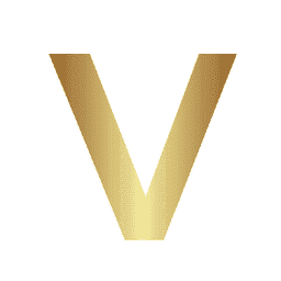 VoxGenius logo