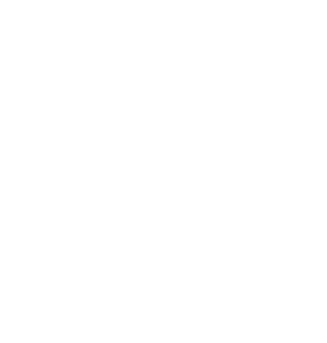 logo larm white