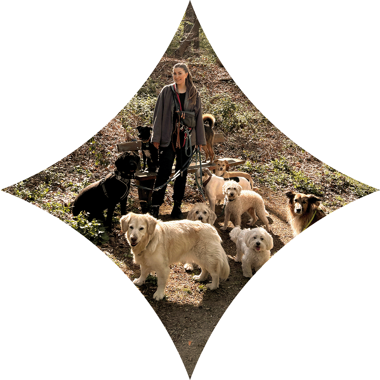 Hundegruppe mit Xenia