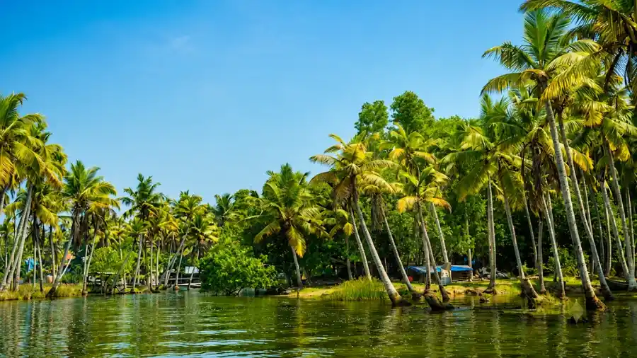 Poovar