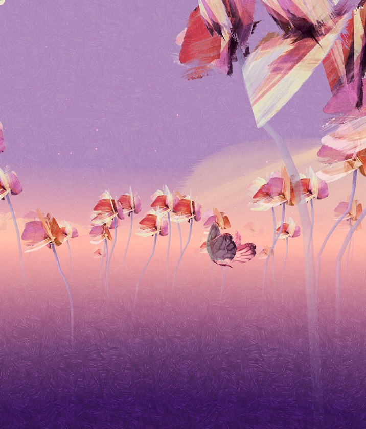 kaizen-curated by FTC