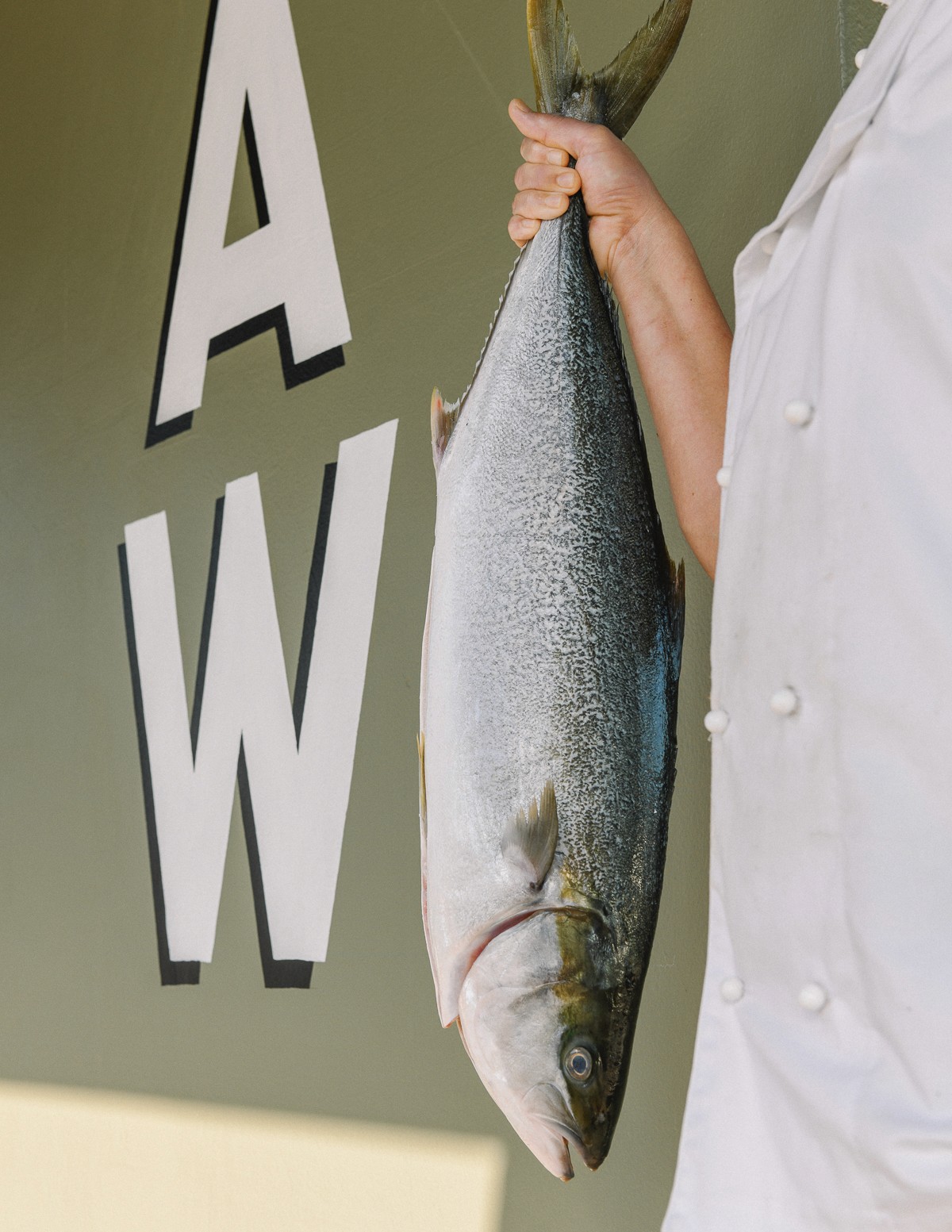 Vertical shot highlighting the rich texture of an oak furniture piece or wood grain, representing the story on oak material.