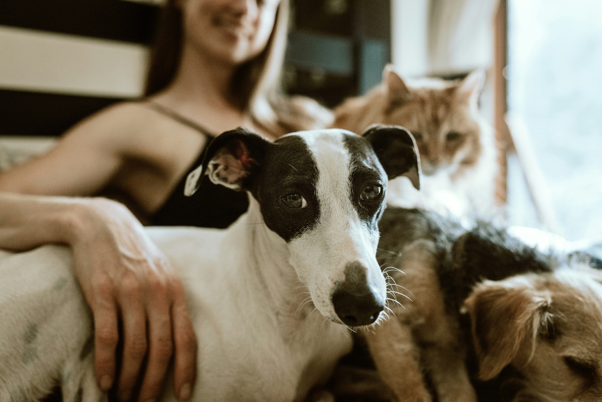 Woman with pets