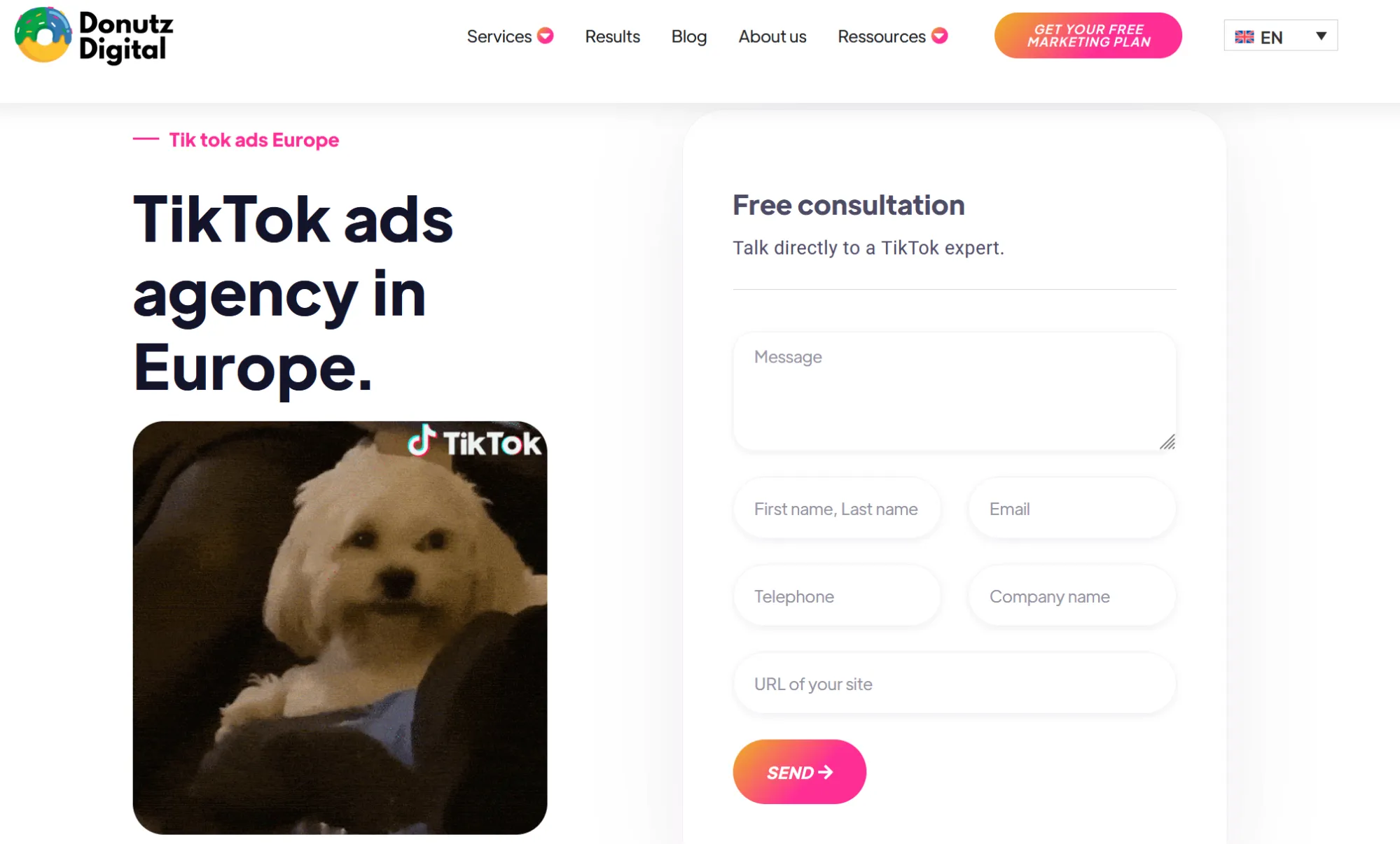 Donutz - Best for Senior-led cross-border campaigns
