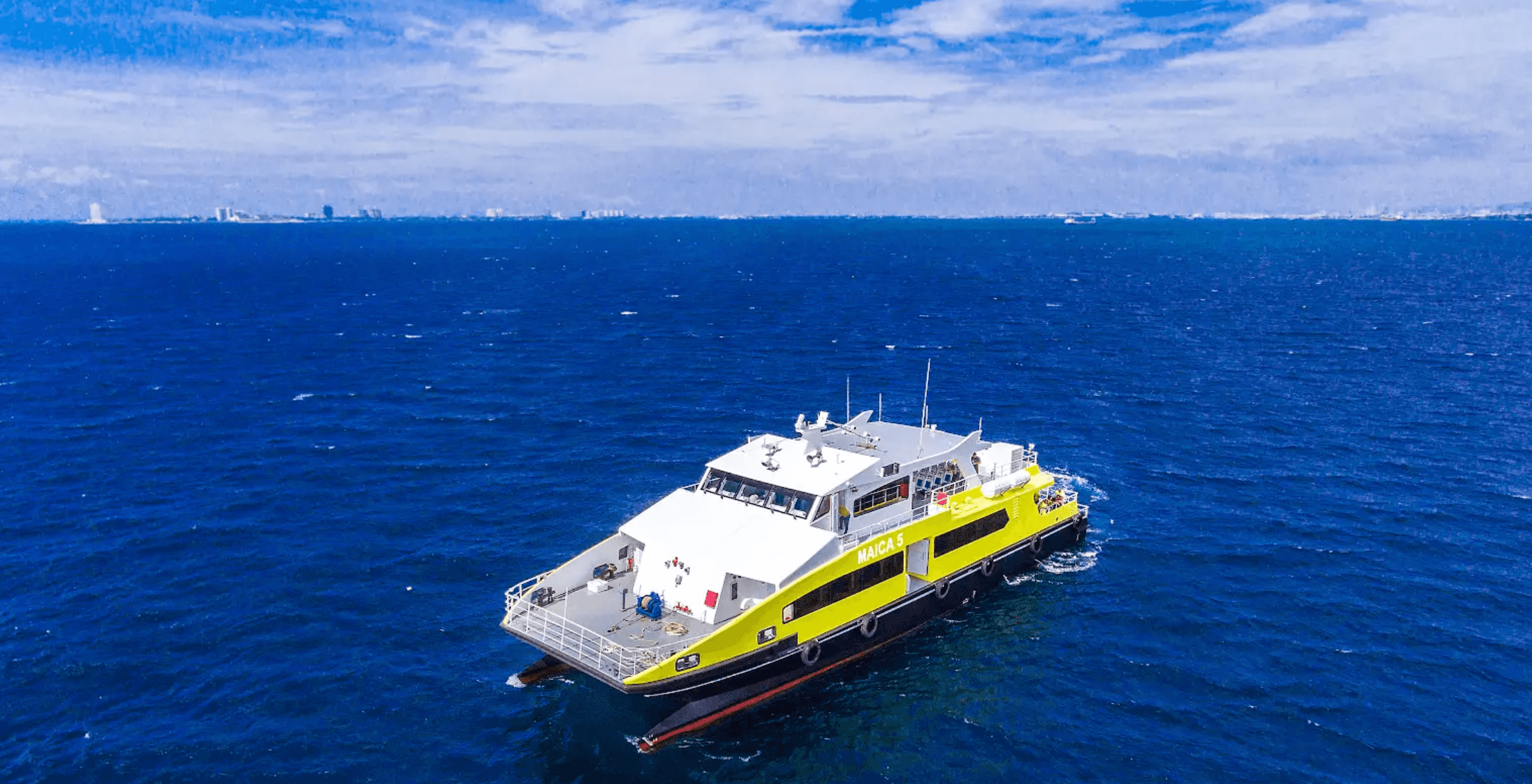 red flowers near body of water during daytime