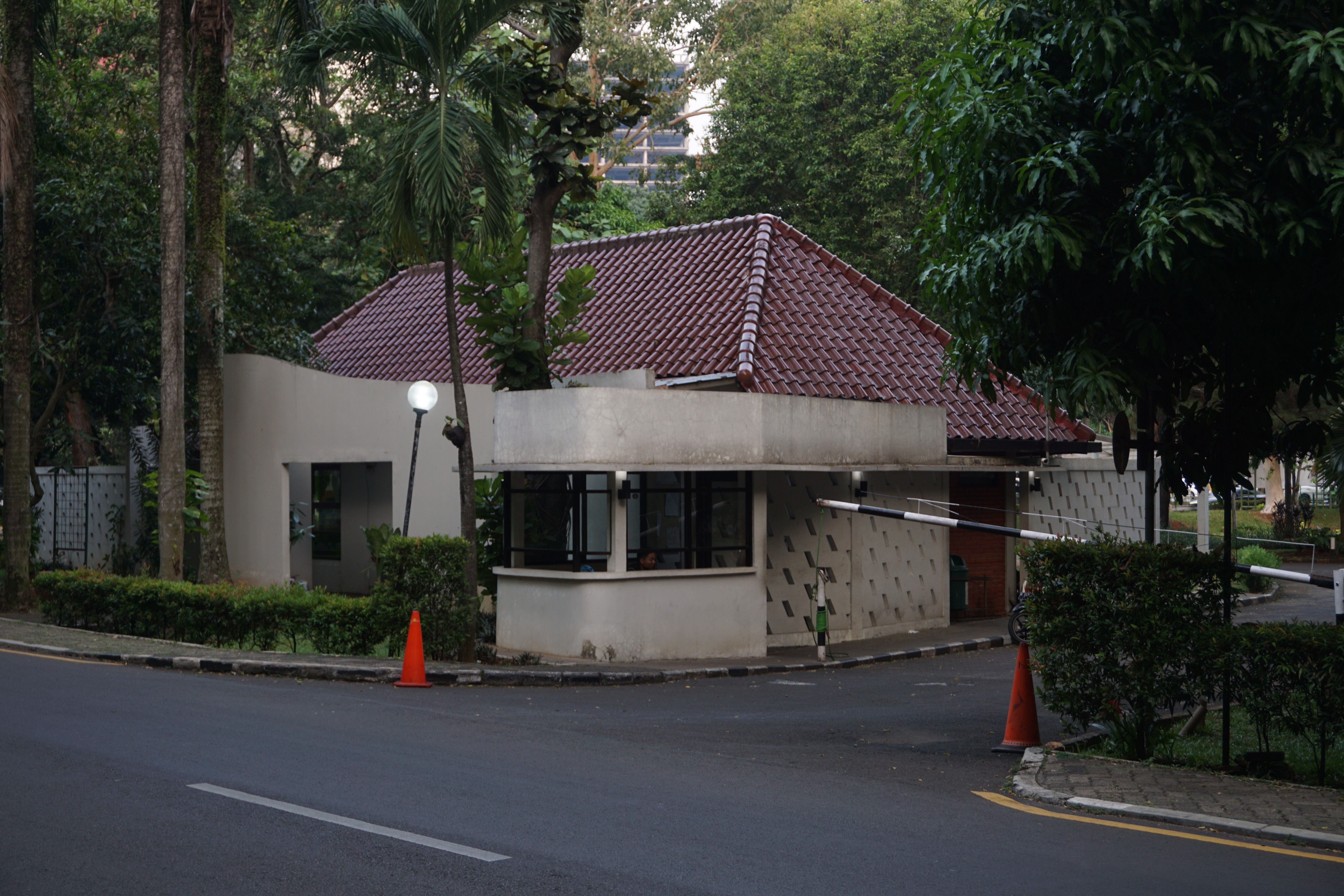 coffee, mouse, computer on a desk