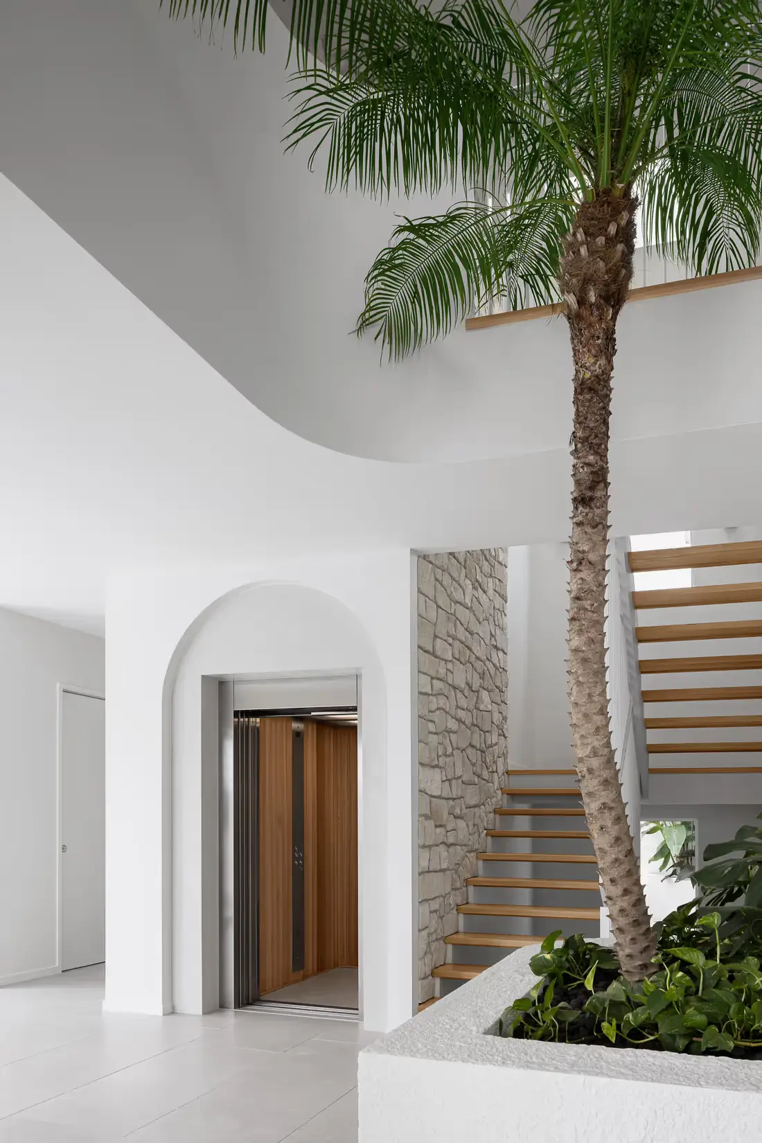 A large palm tree in front of the staircase and a lift to the left hand side