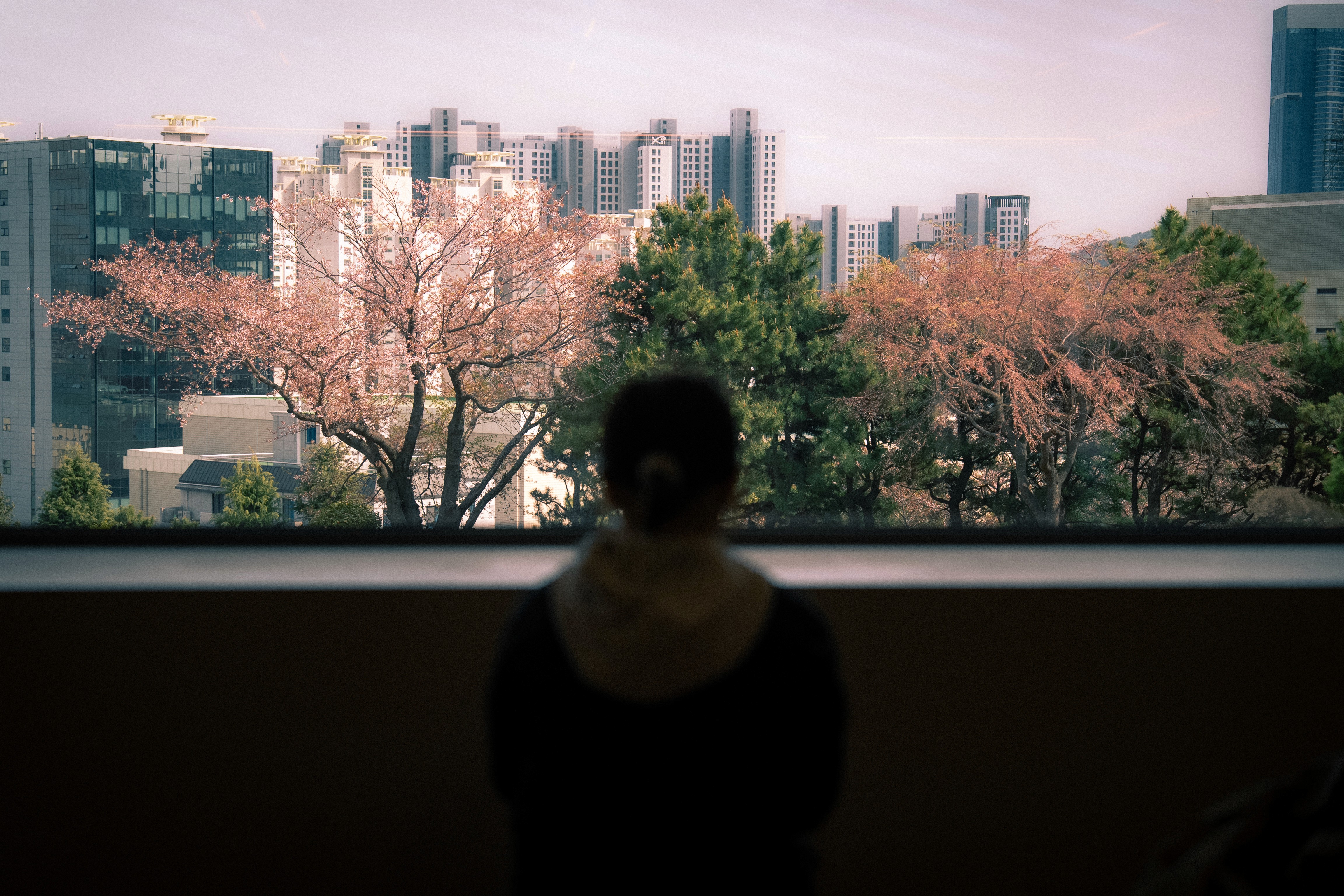 홍보 영상