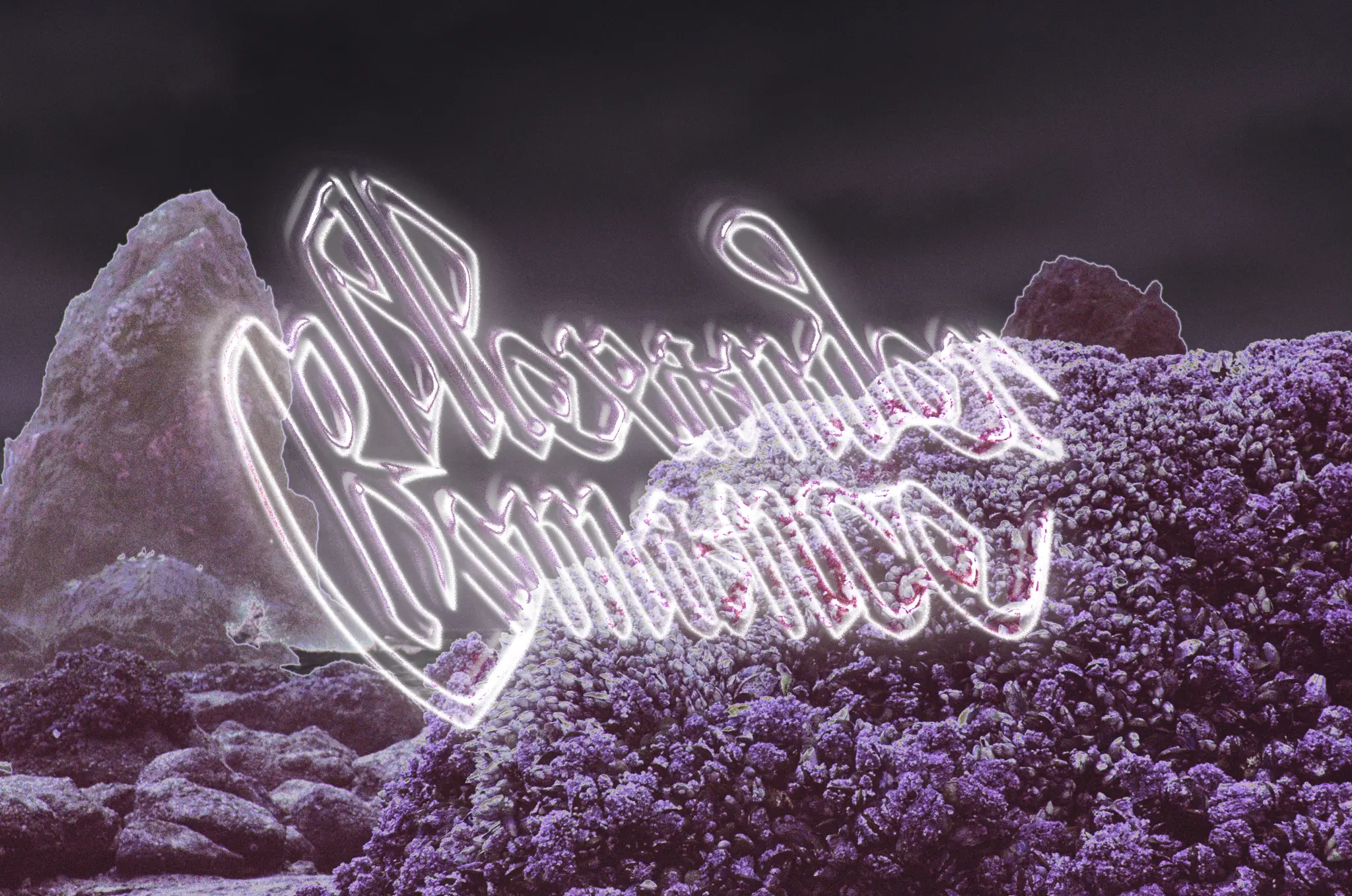 'Alexander Romance' album wordmark for Chicago-based electronic artist, Bird bones