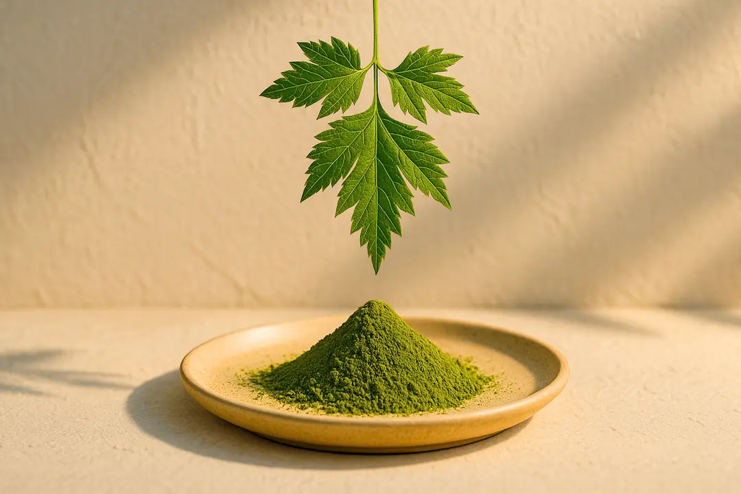 Ashitaba Blatt und Pulver auf Teller