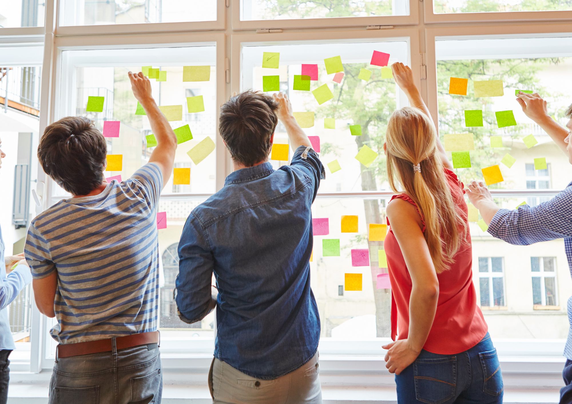 Masterclass training layout