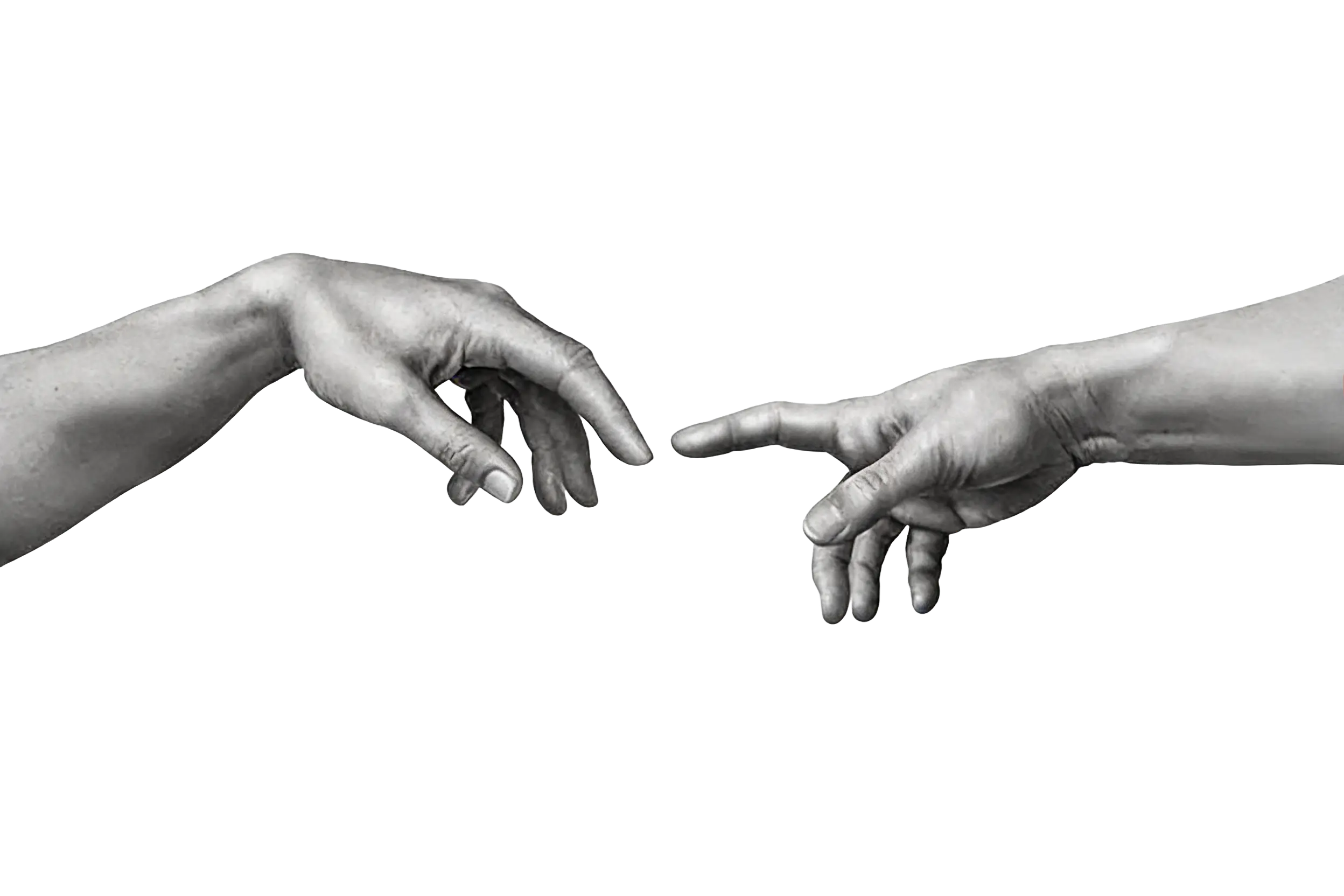 Editorial image used in the portfolio homepage