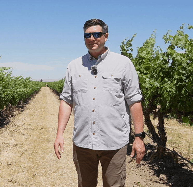 Woodward Canyon winemaker Marcus Rafanelli standing between rows of grapevines at Windrow Vineyard in Washington.