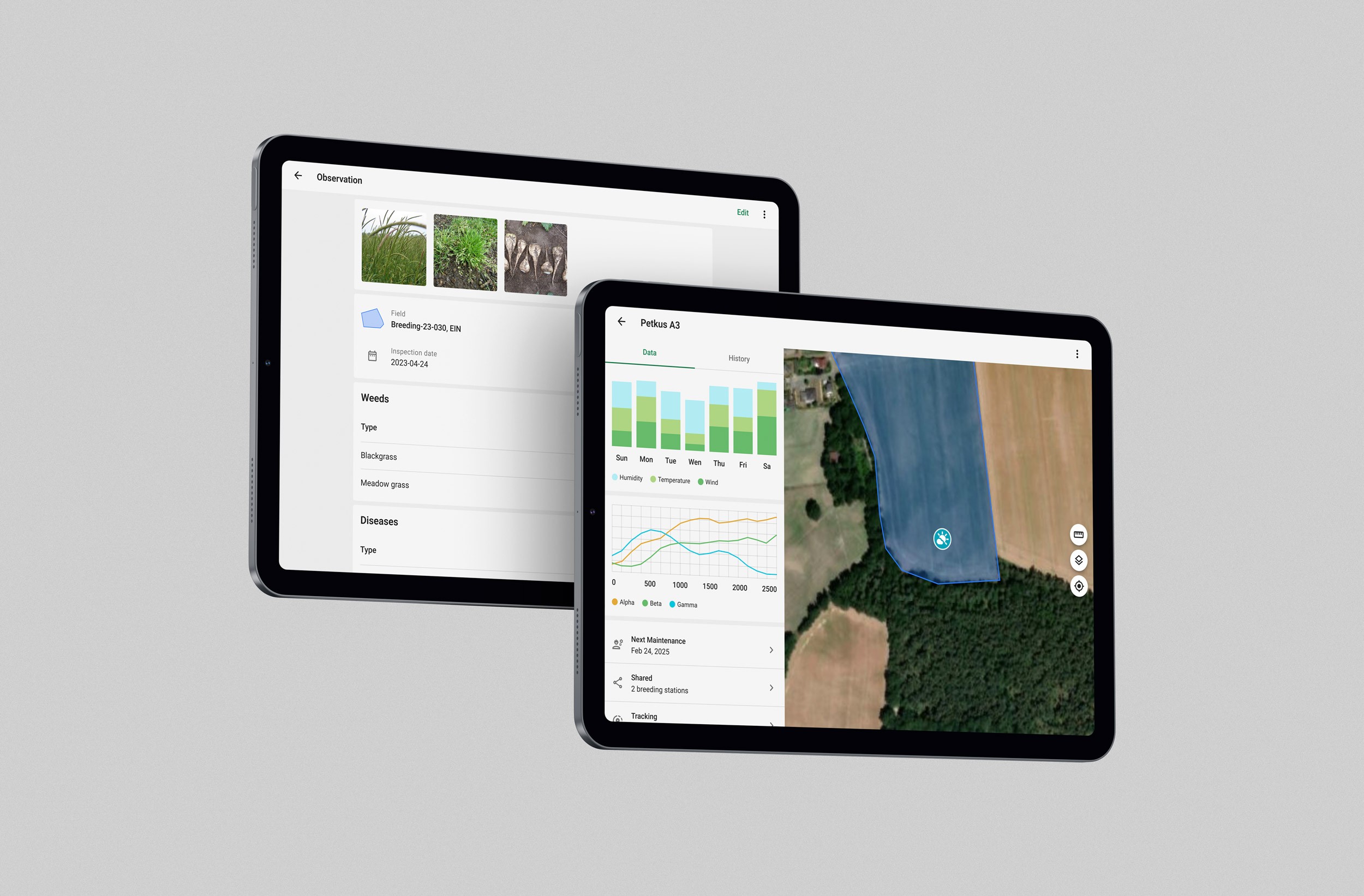Cover image of the KWS UI Design System project with mockups of the interface on smartphone.