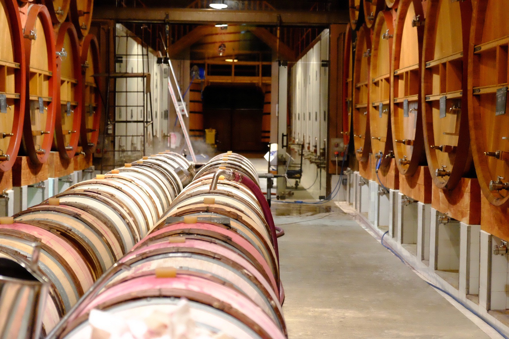 A woman with long blonde hair, in a brown top and jeans, walks through a sunlit forest, holding someone's hand. The scene is warm and inviting.