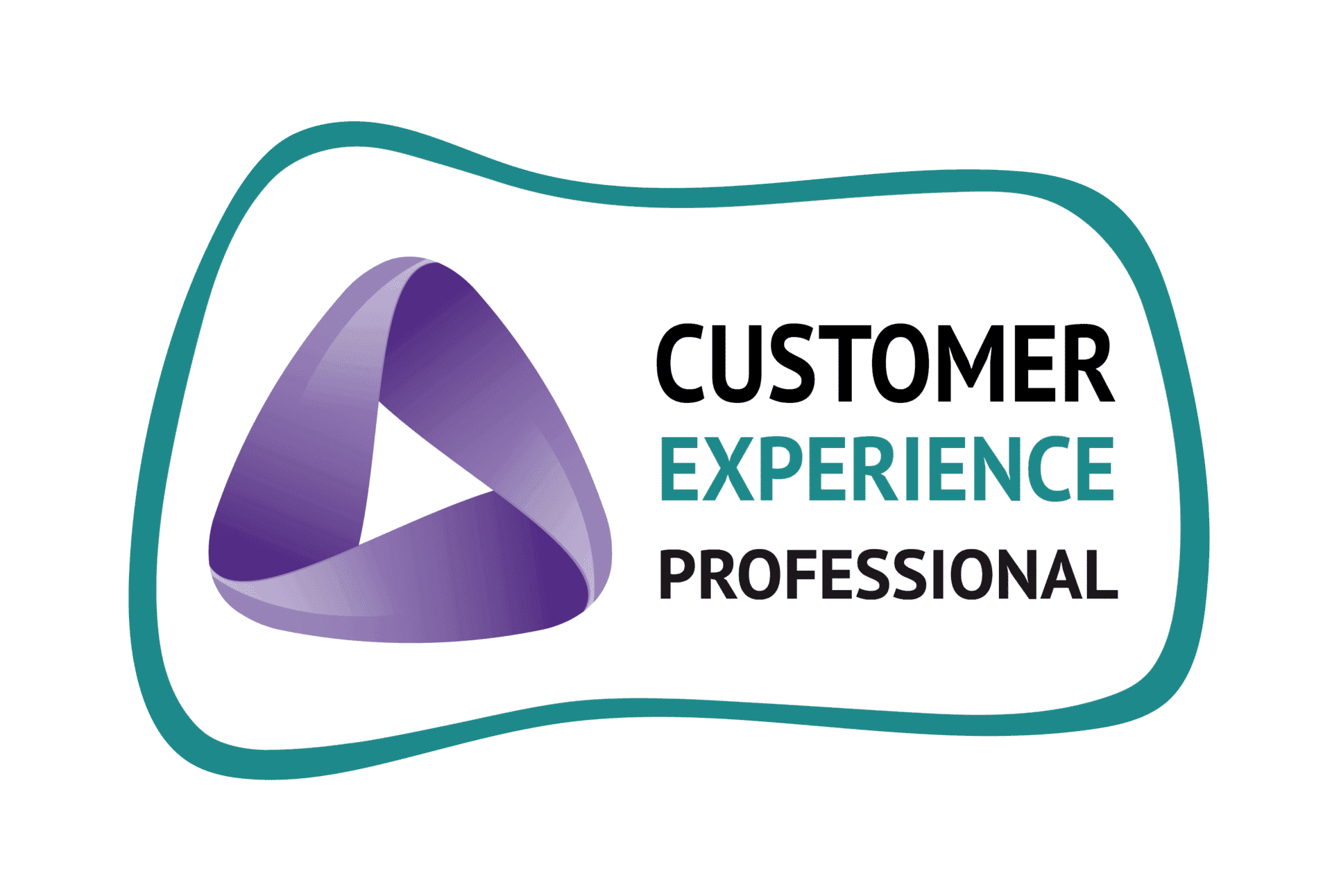 CXP - Customer Experience Professional
