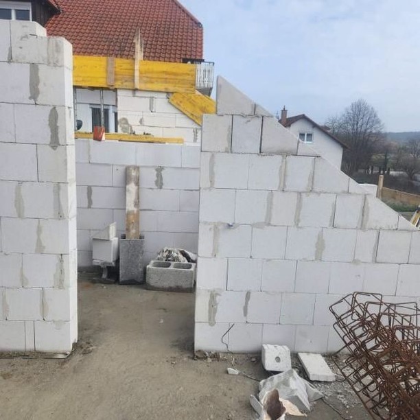 Vintage Car Under Palm Trees