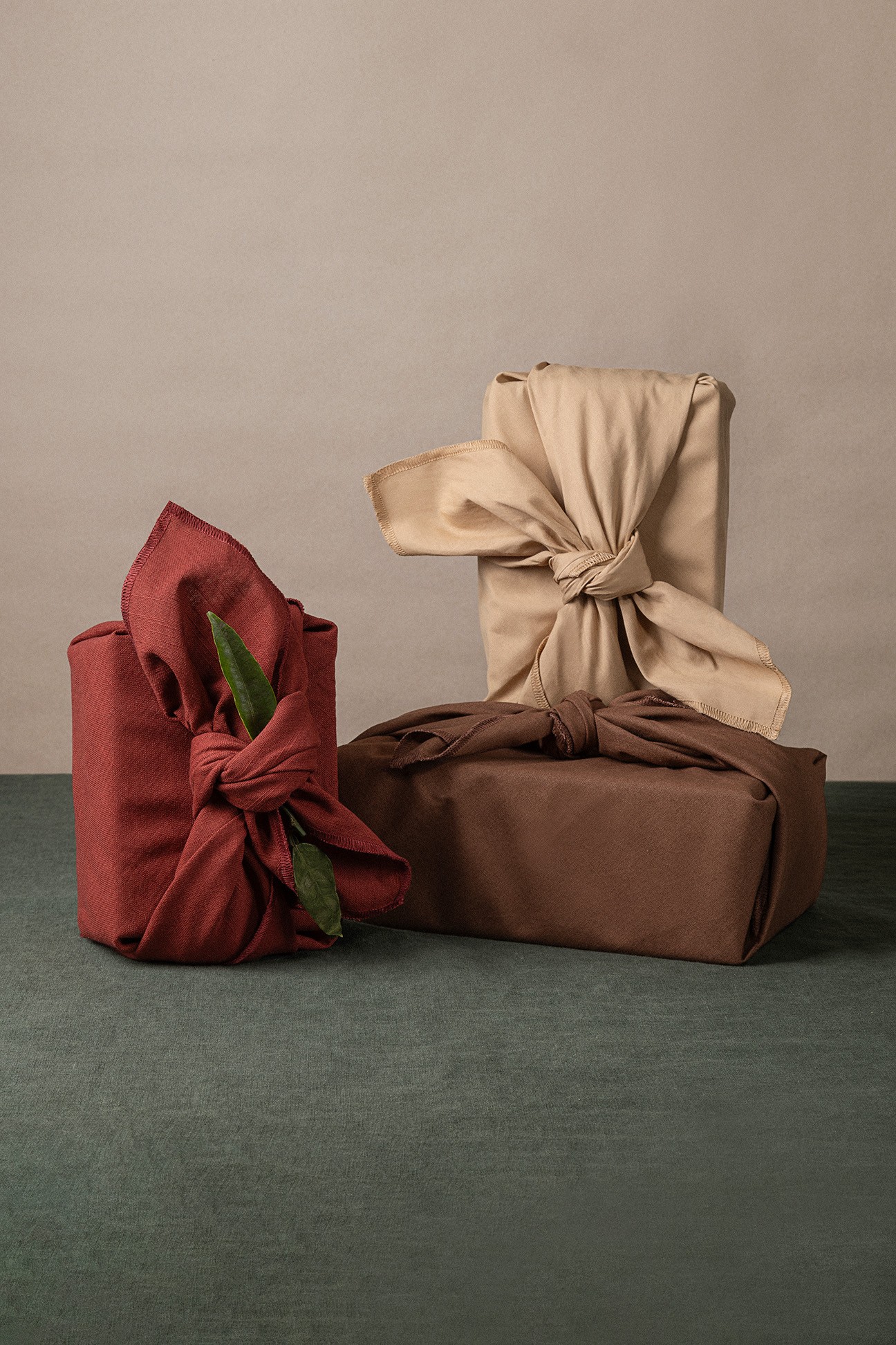 blue and white bird on brown rock