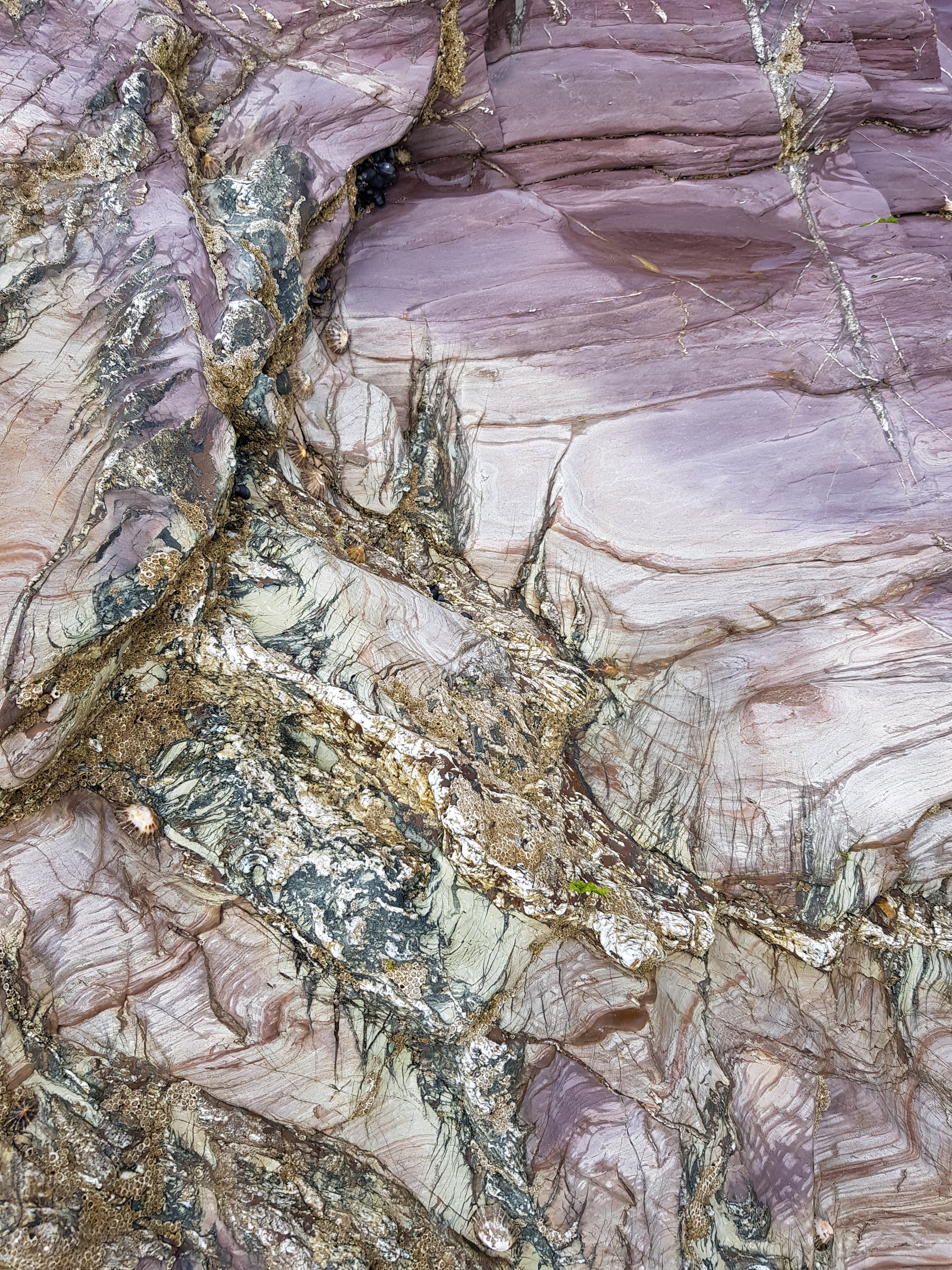 blue sky and white clouds over the sea