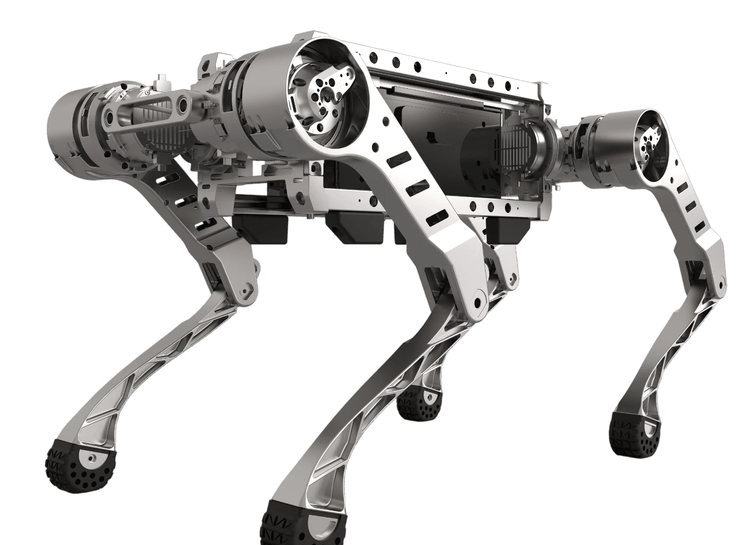 Robot body