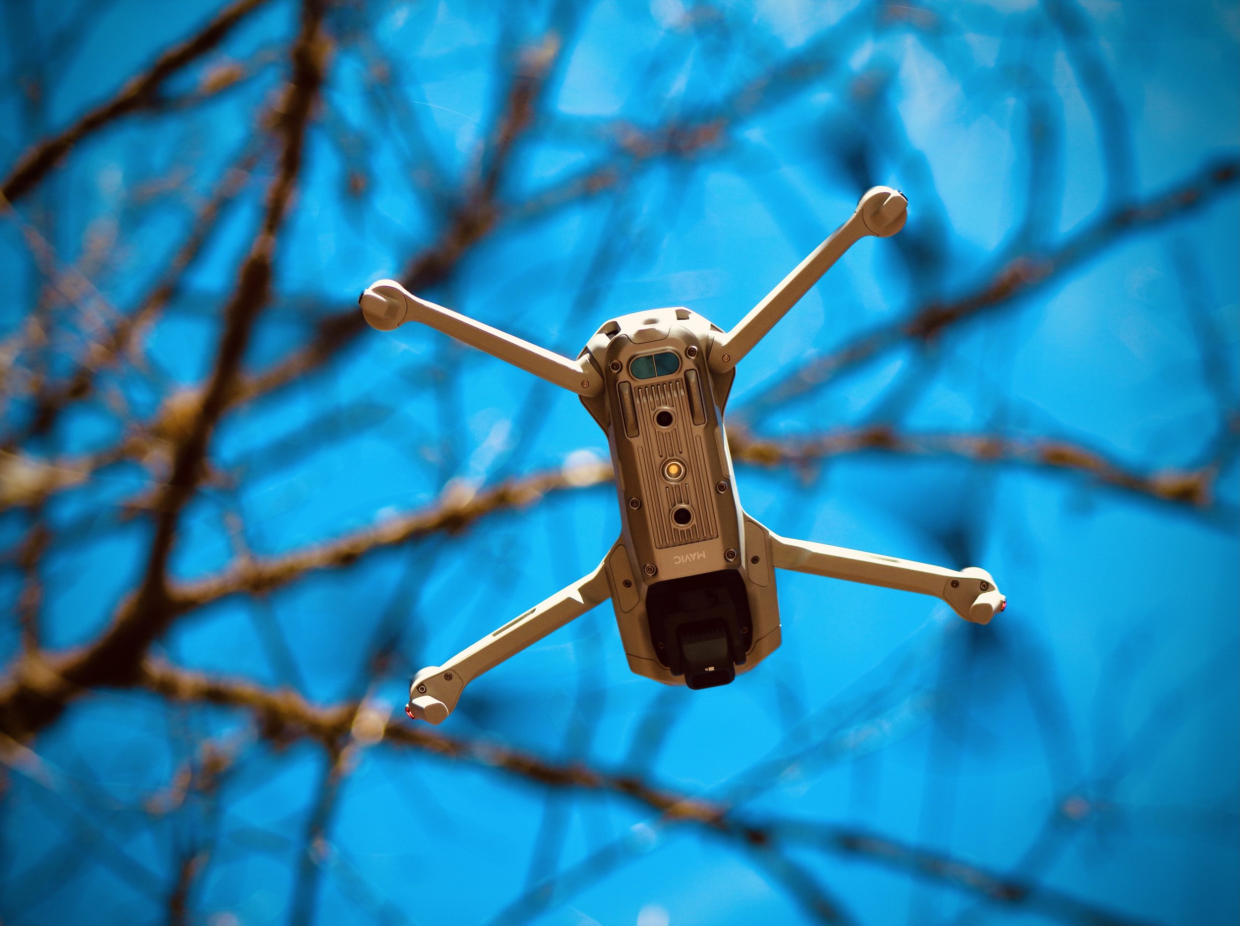 A quadcopter drone flying against a blue sky beside tree branches.