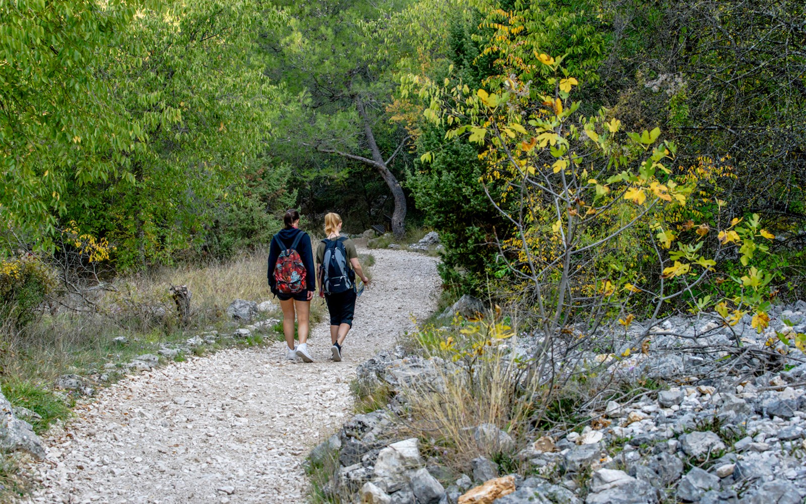 Hikers walking on a trail surrounded by greenery in Krka National Park.