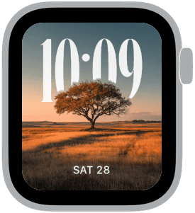 golden hour Apple Watch face preview 4 featuring autumn and summer.